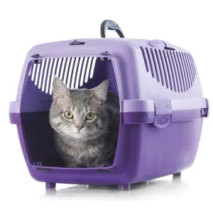 Beaphar Cat Catcomfort Calming Spray can be used on carriers