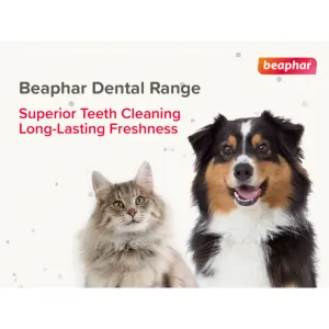 Beaphar Dog Plaque Away Water Additive superior teeth cleaning