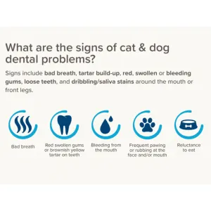 Beaphar Dog Plaque Away Water Additive sings of detal problems