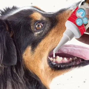Beaphar Cat & Dog Toothgel apply on theeth