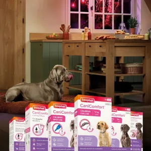 Beaphar Dog Canicomfort Calming Diffuser Start-Kit calming range