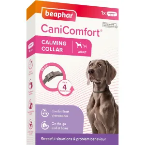 Beaphar Dog Canicomfort Collar in packaging