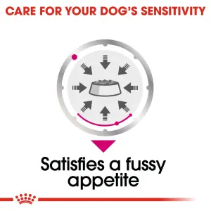 Royal Canin Exigent Wet Dog Food dog's sensitivity