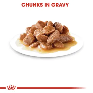 Royal Canin Hairball Care Wet Cat Food chunks in gravy