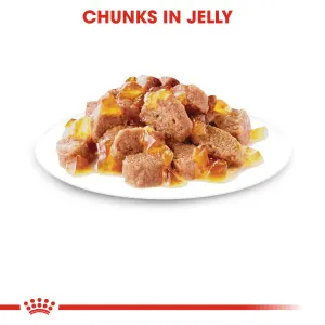Royal Canin Instinctive in Jelly Adult Wet Cat Food chunks in jelly