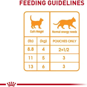 Royal Canin Hair & Skin Adult Wet Cat Food Pouch feeding guide