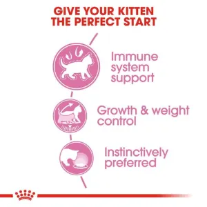 Royal Canin Kitten Sterilised Wet Cat Food - Jelly perfect start