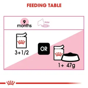 Royal Canin Kitten Sterilised Wet Cat Food - Jelly feeding guide