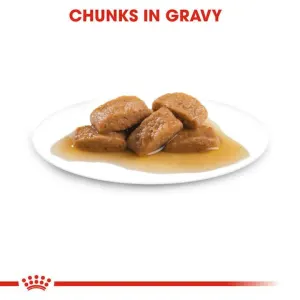 Royal Canin Maxi Adult Wet Dog Food chunks in gravy
