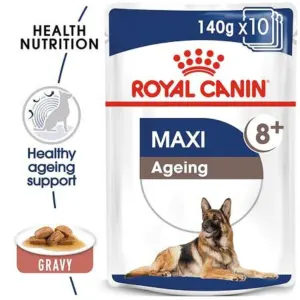 Royal Canin Maxi Ageing Wet Dog Food healthy nutrition