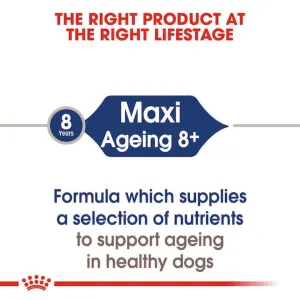 Royal Canin Maxi Ageing Wet Dog Food correct life stage