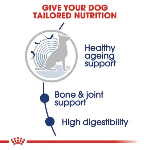 Royal Canin Maxi Ageing Wet Dog Food tailored nutrition