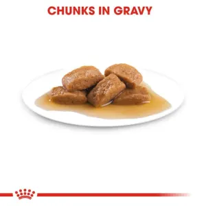 Royal Canin Maxi Ageing Wet Dog Food chunks in gravy