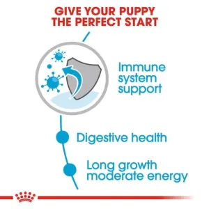 Royal Canin Maxi Puppy Wet Food perfect start