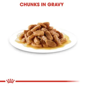 Royal Canin Maxi Puppy Wet Food chunks in gravy