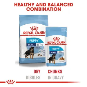 Royal Canin Maxi Puppy Wet Food balanced combo