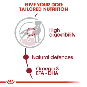 Royal Canin Medium Adult Wet Dog Food tailored nutrition