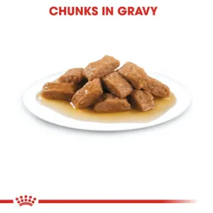 Royal Canin Medium Adult Wet Dog Food chunks in gravy