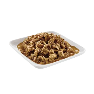 Purina Pro Plan Chicken in Gravy Wet Adult Cat Food on bowl