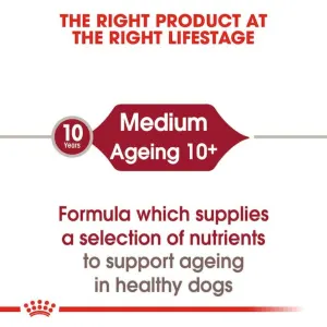 Royal Canin Medium Ageing Wet Dog Food correct life stage