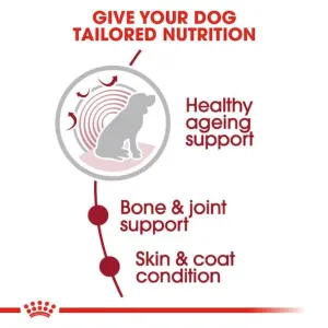 Royal Canin Medium Ageing Wet Dog Food tailored nutrition