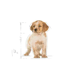 Royal Canin Medium Puppy Wet Food perfect size health