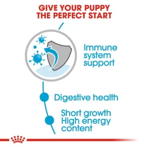 Royal Canin Medium Puppy Wet Food for the perfect start