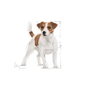 Royal Canin Mini Adult Wet Dog Food for mini breed of dogs