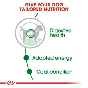 Royal Canin Mini Adult Wet Dog Food tailored nutrition