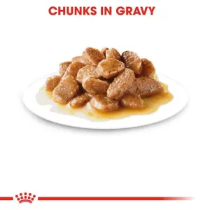 Royal Canin Mini Adult Wet Dog Food chunks in gravy
