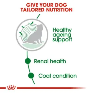 Royal Canin Mini Ageing Wet Dog Food tailored nutrition