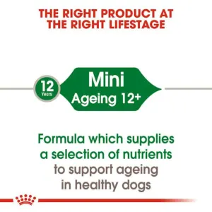 Royal Canin Mini Ageing Wet Dog Food correct life stage