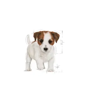 Royal Canin Mini Puppy Wet Food small breed
