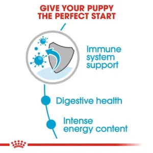Royal Canin Mini Puppy Wet Food perfect start
