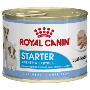 Royal Canin Mother & Babydog Starter Mousse Wet Dog Food