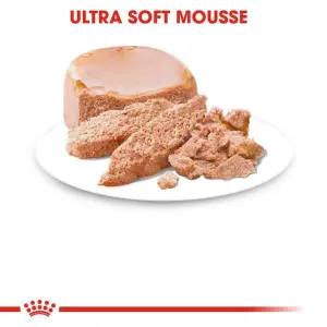 Royal Canin Mother & Babydog Starter Mousse Wet Dog Food soft mousse