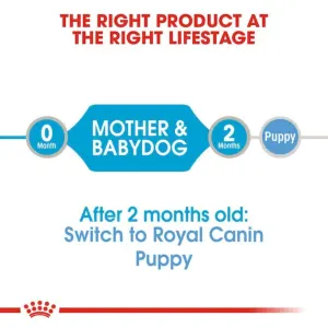 Royal Canin Mother & Babydog Starter Mousse Wet Dog Food correct life stage