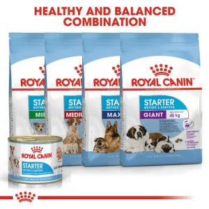 Royal Canin Mother & Babydog Starter Mousse Wet Dog Food combination