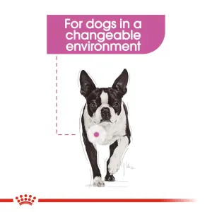Royal Canin Relax Care Wet Dog Food changeable environments