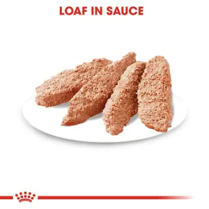 Royal Canin Relax Care Wet Dog Food loaf in sauce