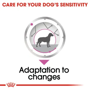 Royal Canin Relax Care Wet Dog Food for sensitivities