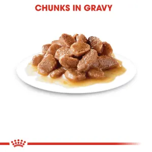 Royal Canin Ultra Light 10 Adult Wet Cat Food Pouch chunks in gravy