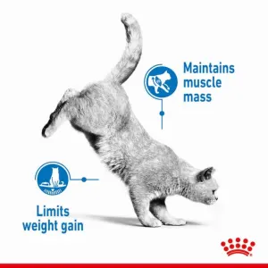Royal Canin Ultra Light 10 Adult Wet Cat Food Pouch maintains muscle mass