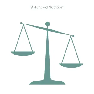 Purina Pro Plan Medium Breed Adult Dog Food balanced diets