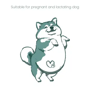 Purina Pro Plan Performance Dog Food for pregnant and lactating dogs