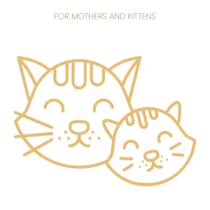 Purina Pro Plan Kitten Starter Food Salmon & Tuna for mothers and kittens