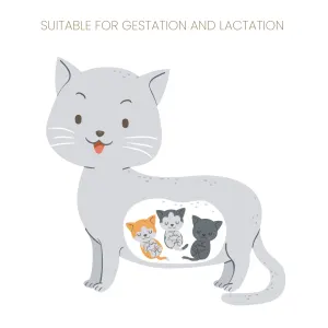 Purina Pro Plan Kitten Starter Food Salmon & Tuna for lactation
