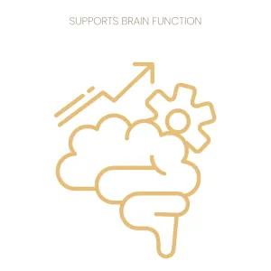 Purina Pro Plan Liveclear Kitten Food brain support