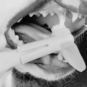Pet Dent Fingerbrush for Dogs and Cats lifestyle one