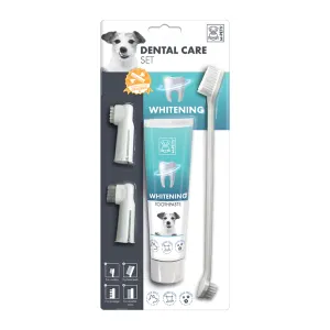 Whitening Dental Care Set